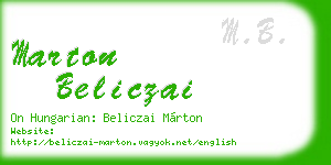 marton beliczai business card